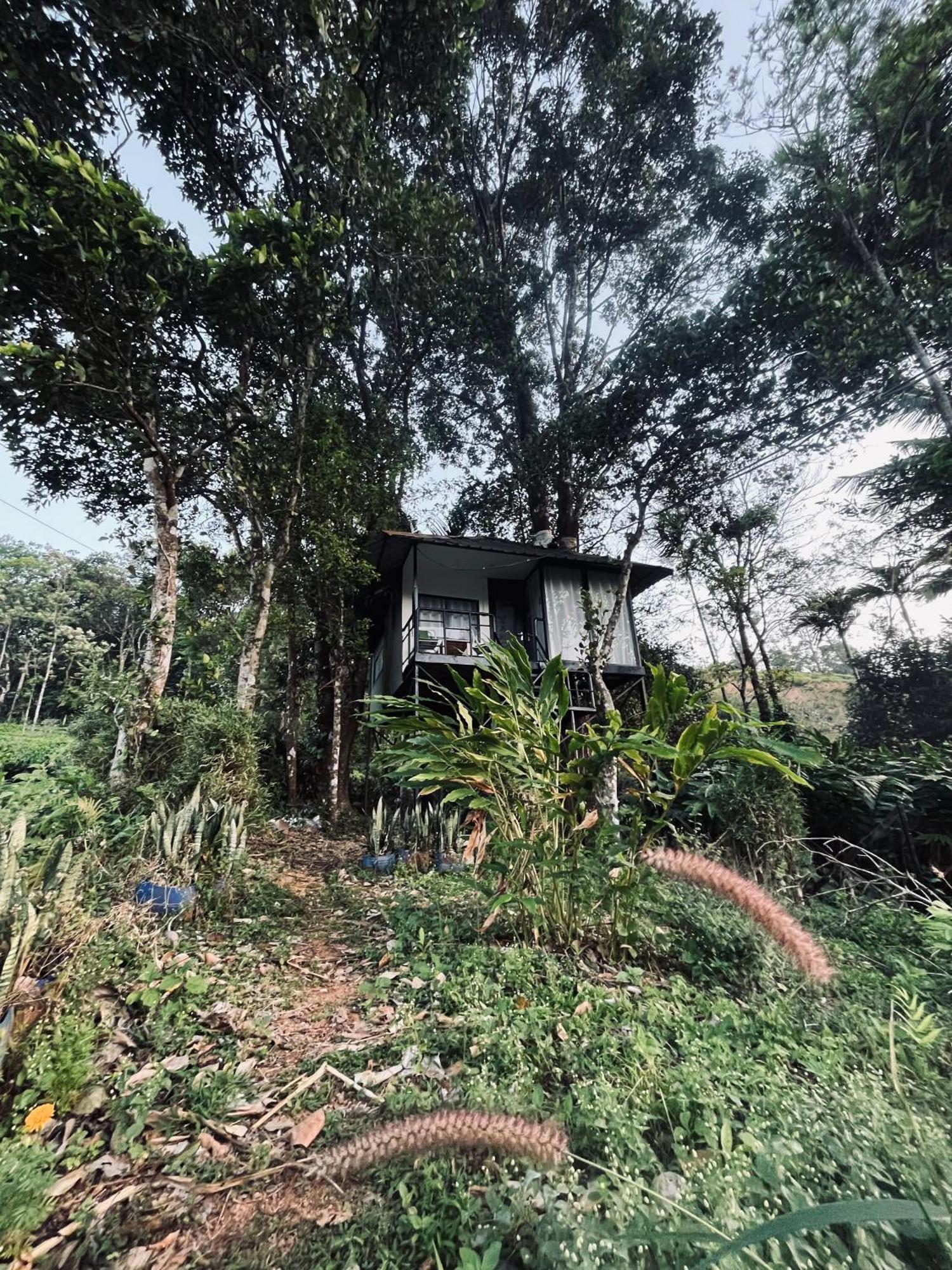 Villa Silent House Kudayattur Exterior foto
