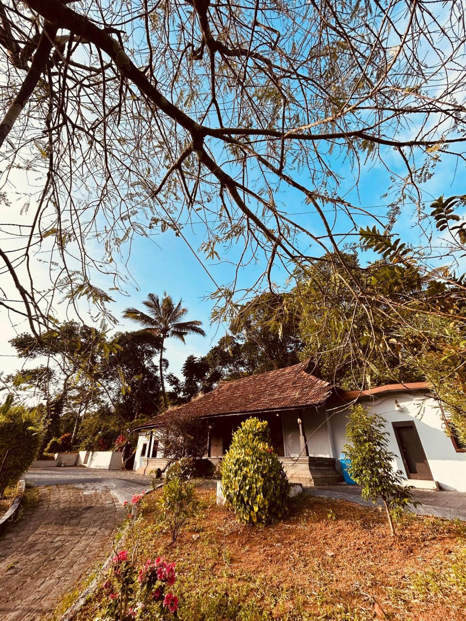Villa Silent House Kudayattur Exterior foto